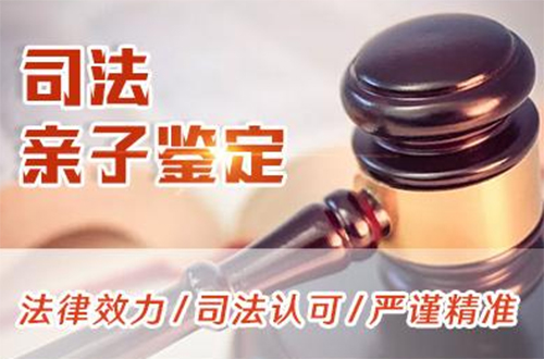 辽宁省正规司法亲子鉴定机构哪里有,辽宁省司法亲子鉴定收费需要多少钱